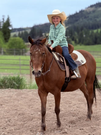 HorseID: 2314406 Buddy - PhotoID: 1100090