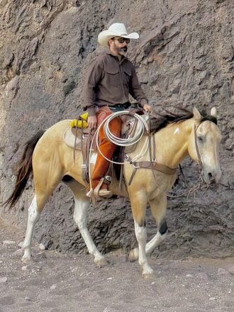 HorseID: 2314432 Ringo - PhotoID: 1100108
