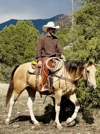 HorseID: 2314432 Ringo - PhotoID: 1100111