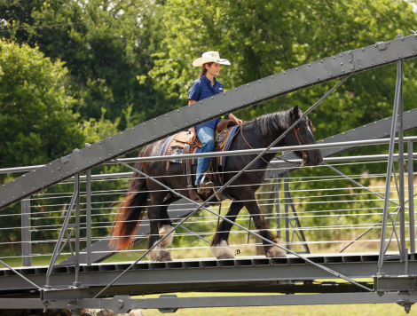 HorseID: 2314444 SD Sterling TMR - PhotoID: 1100123