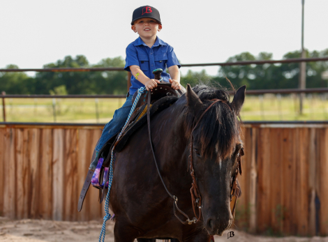 HorseID: 2314444 SD Sterling TMR - PhotoID: 1100125