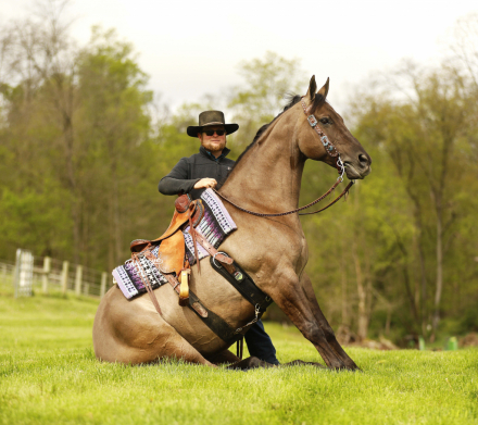 HorseID: 2314446 JK Pat - PhotoID: 1100139