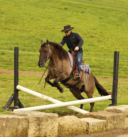 HorseID: 2314446 JK Pat - PhotoID: 1100140