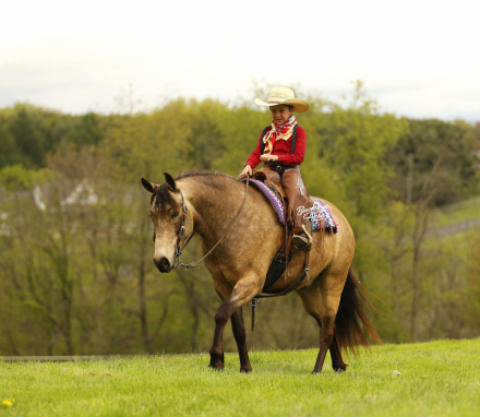 HorseID: 2314447 Legacy - PhotoID: 1100134