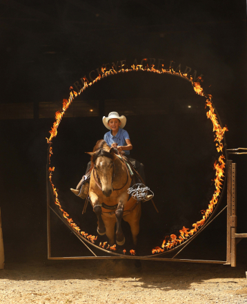 HorseID: 2314447 Legacy - PhotoID: 1100135