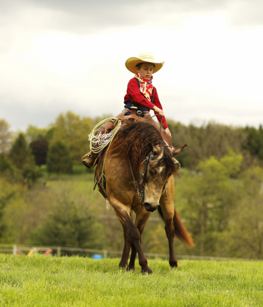HorseID: 2314447 Legacy - PhotoID: 1100136