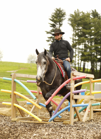 HorseID: 2314450 Buckeyes Journey - PhotoID: 1100128