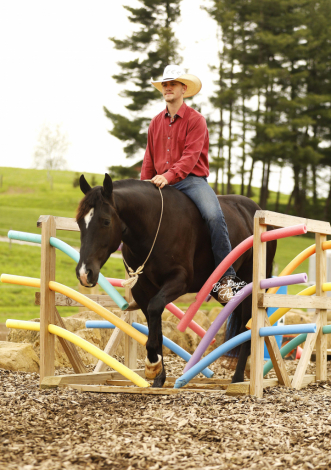 HorseID: 2314459 Smart Rey Blue ZZ - PhotoID: 1100158