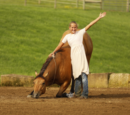 HorseID: 2314462 MR CC Wimp - PhotoID: 1100150
