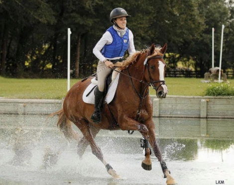 HorseID: 2314471 KILKELLY FLEXIN FIFTY - PhotoID: 1100165