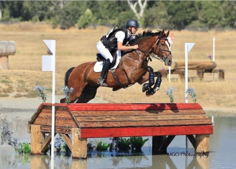 HorseID: 2314472 M Creme de la Creme SE - PhotoID: 1100168