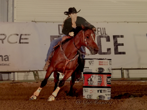 HorseID: 2314475 Special Te Dragon - PhotoID: 1100172