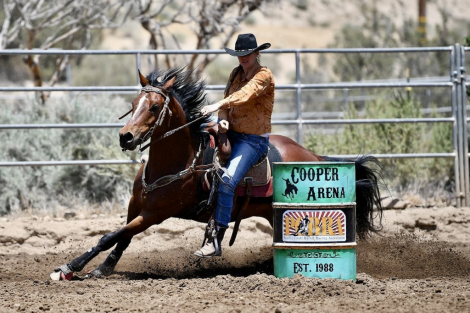 HorseID: 2314475 Special Te Dragon - PhotoID: 1100173