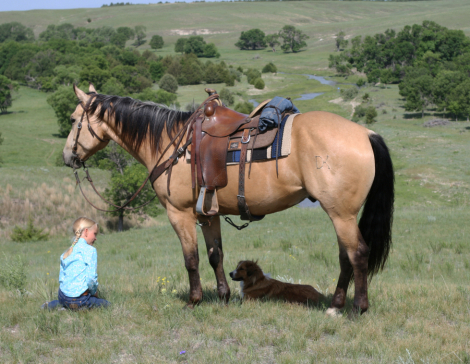HorseID: 2314531 DK BRINGING THE CASH - PhotoID: 1100412