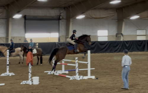 HorseID: 2314538 HS Cool River Creek - PhotoID: 1100292