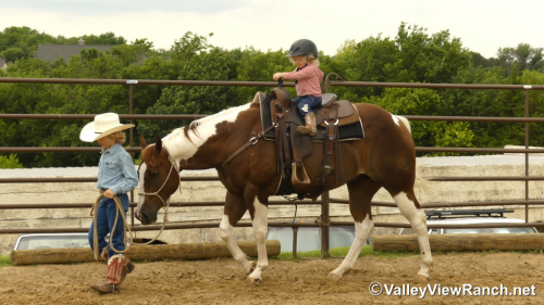 HorseID: 2314540 Obviously A Playboy - PhotoID: 1100299