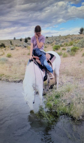 HorseID: 2314547 Skye - PhotoID: 1100313