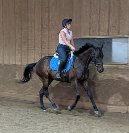 HorseID: 2314555 Lucky Honey - PhotoID: 1100319
