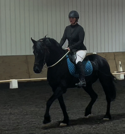 HorseID: 2314563 Tuco - PhotoID: 1100332