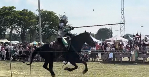 HorseID: 2314563 Tuco - PhotoID: 1100333