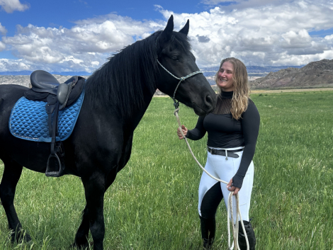 HorseID: 2314563 Tuco - PhotoID: 1100336