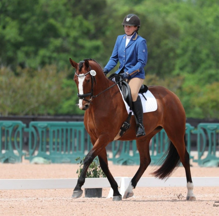 HorseID: 2314602 Oolala - PhotoID: 1100362