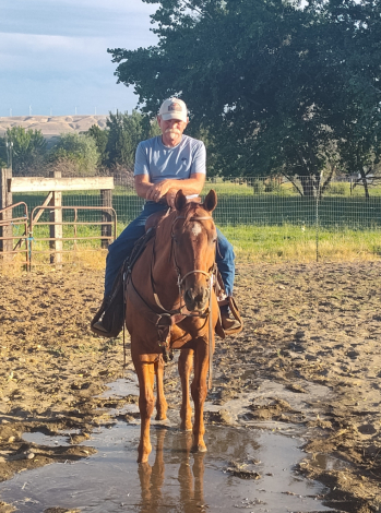 HorseID: 2314620 Finn McCool - PhotoID: 1100419