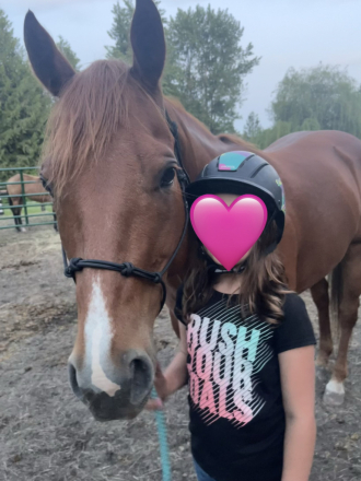 HorseID: 2314626 Charli Picks N Angel - PhotoID: 1100390