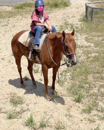 HorseID: 2314626 Charli Picks N Angel - PhotoID: 1100390