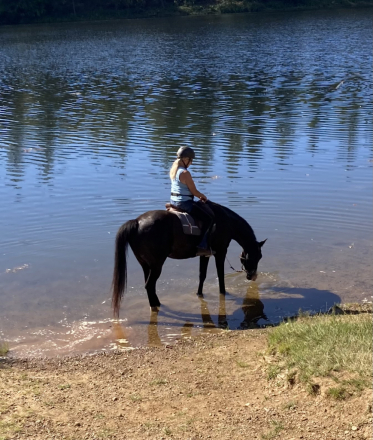 HorseID: 2314653 Jesse - PhotoID: 1100452