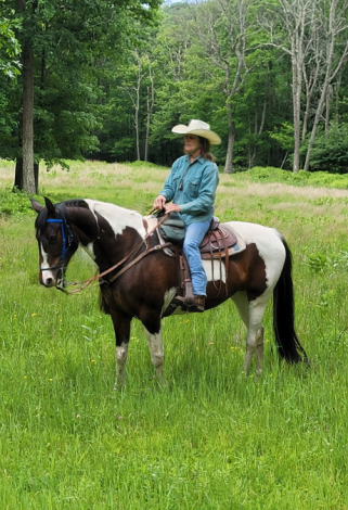 HorseID: 2314658 Sierra - PhotoID: 1100436