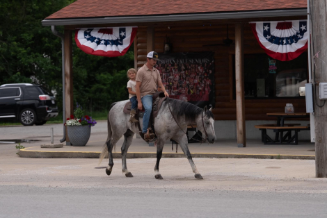 HorseID: 2314677 Shimmering Scooter - PhotoID: 1100457