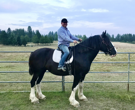 HorseID: 2314742 CHARTER OAK ABIGALES TRIXI - PhotoID: 1100536
