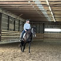 HorseID: 2314748 Lola At The Copacabana - PhotoID: 1100549