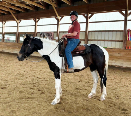 HorseID: 2314799 Ace - PhotoID: 1100614