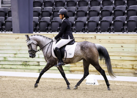 HorseID: 2314805 NTEC Miss Perrier - PhotoID: 1100619