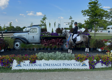 HorseID: 2314805 NTEC Miss Perrier - PhotoID: 1100620