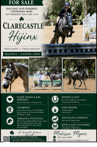 HorseID: 2314814 Clarecastle Hijinx - PhotoID: 1100630