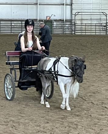 HorseID: 2314866 Mooreacres Rebellious Encore - PhotoID: 1100969