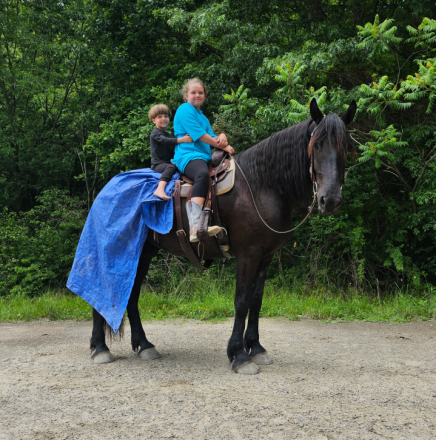 HorseID: 2314867 Thunder - PhotoID: 1100694