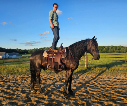 HorseID: 2314867 Thunder - PhotoID: 1100696