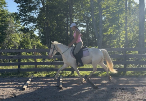 HorseID: 2314889 Rain - PhotoID: 1100709