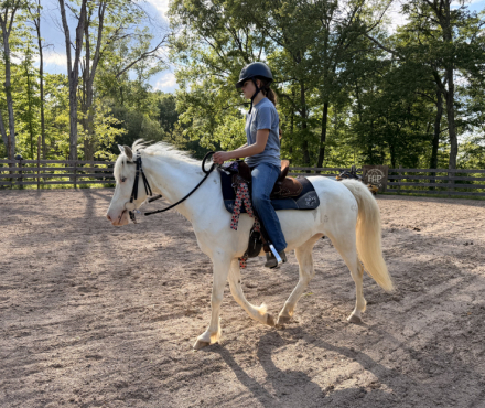 HorseID: 2314889 Rain - PhotoID: 1100710