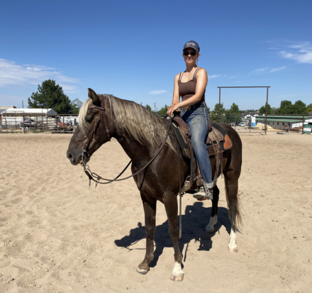 HorseID: 2314893 Grayson - PhotoID: 1100717
