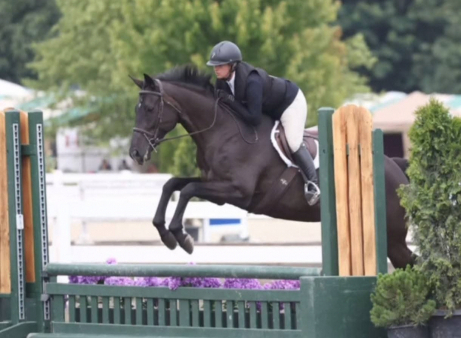 HorseID: 2314906 Memphis - PhotoID: 1100736