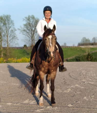 HorseID: 2314910 Gunner - PhotoID: 1100738