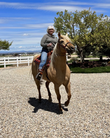 HorseID: 2314925 Sparkin Up A Shine - PhotoID: 1100774