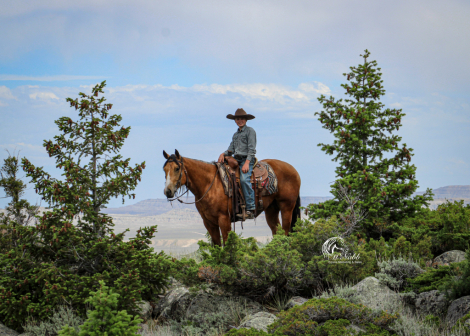 HorseID: 2314929 Wimpys Spook N Whiz - PhotoID: 1100789