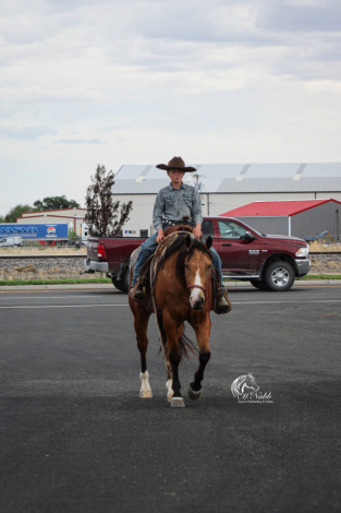 HorseID: 2314929 Wimpys Spook N Whiz - PhotoID: 1100790