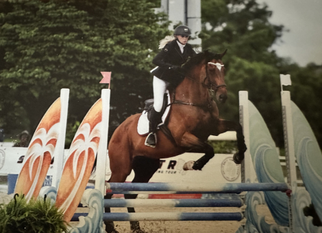 HorseID: 2314951 SWAYDE - PhotoID: 1100812